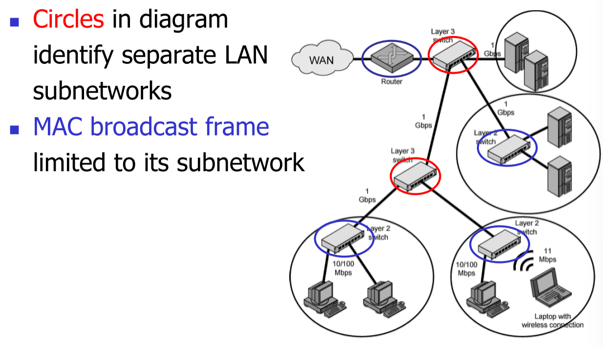 image-20230315165251326